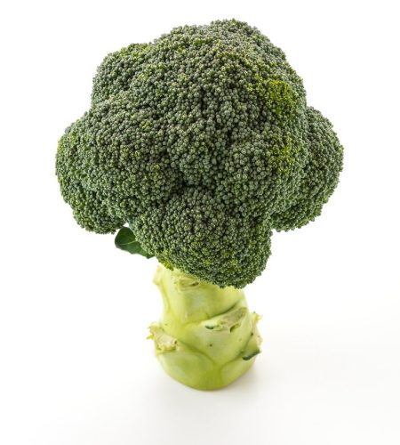 fresh-broccoli_1339-354